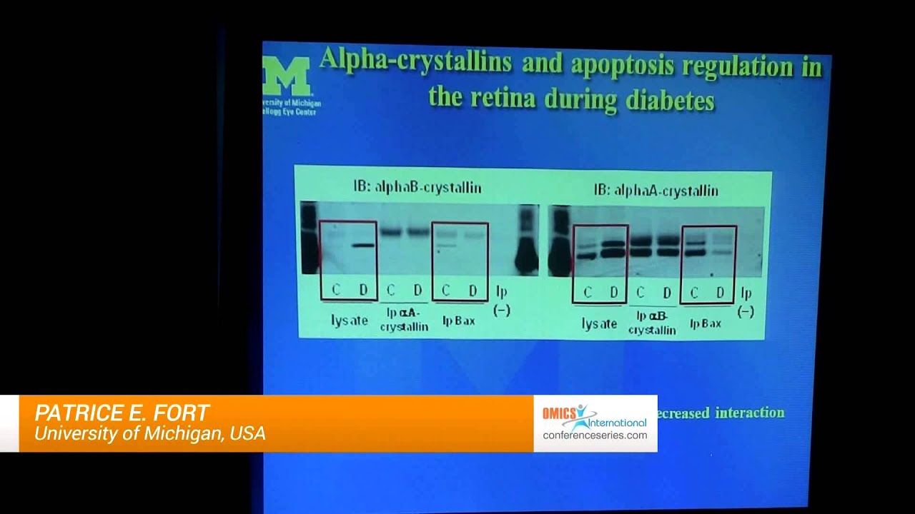 upload image Patrice E. Fort | University of Michigan | USA | Ophthamology 2014 | OMICS International