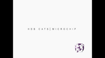 Microchip For Cats | Singapore HDB