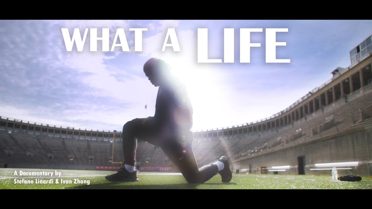WHAT A LIFE - A Short BJJ Documentary