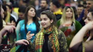 Behcet Heycan Newroz Horseens 2132019 مع أحلى كروب أرام