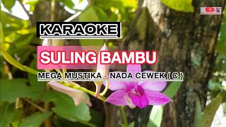 Karaoke Suling bambu mega mustika dangdut original | suasana baru musik