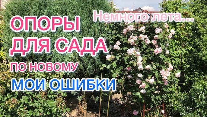 Как сделать опоры для плетистых роз: 3 самых надежных и популярных варианта