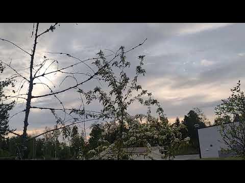 Poljin - YouTube