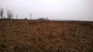 WP 20150222 15 11 15 Pro - Angyal gyakorol 1