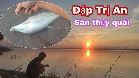Câu Cá Cấm Trại Đập Tri An 1 Đêm 1 Ngày - Có Nên Đi Đập Trị An Câu Cá Ko