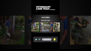 Vet Care Presentation By Dr. Boorstein~Part 5 Of 59