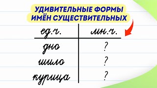 Как сказать эти слова во множественном числе? Проверьте себя! | Русский язык