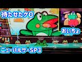 カピバラくん　ニューパルサーSP3　プレミア捜索隊だケロッ　＃270