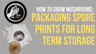 How to Grow Mushrooms: Packaging Spore Prints For Long Term Storage