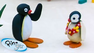 Pingu On Holiday 🐧 | Pingu - Official Channel | Cartoons For Kids