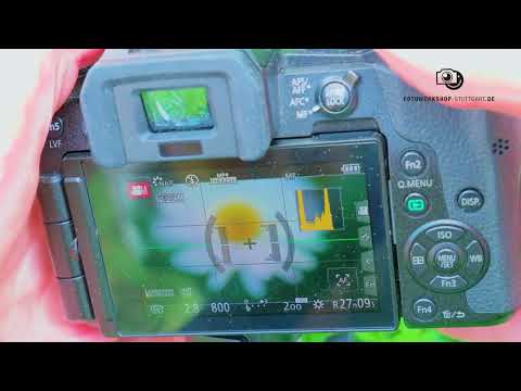 Fokussieren beim Filmen mit Spiegelreflex und Spiegellosen Kameras am Beispiel Panasonic und Canon