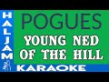 The pogues  young ned of the hill karaoke