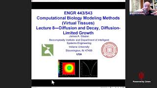 ENG443/543  Virtual Tissues Diffusion and Decay Diffusion Limited Growth March 1 2022