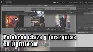 Keywords and hierarchies in Lightroom screenshot 4