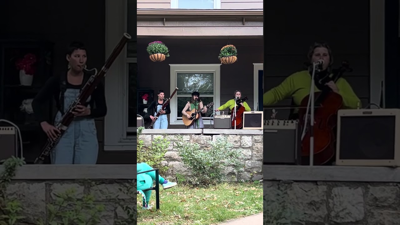 Moonage Daydream The Swallowtails