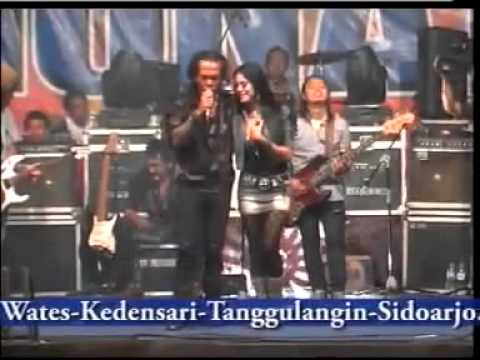 Pengemis Cinta - Utami Dewi Fortuna - New Monata Live Bodas Tukdana Indramayu