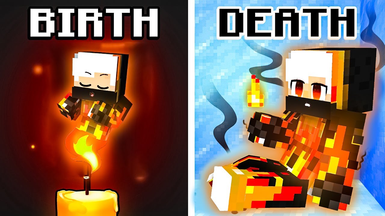 Birth To Death of an ELEMENTAL !