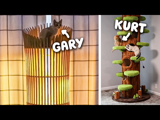 I Got Crazy Cat Trees to Get My Cats Reactions — Abram Engle (video thumbnail)