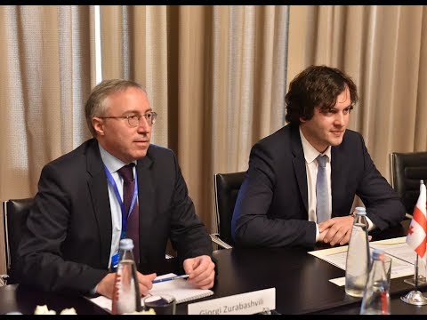 შეხვედრა ირლანდიის პარლამენტის საგარეო საქმეთა, ვაჭრობისა და თავდაცვის კომიტეტის წევრებთან