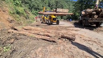JCB || jcb loading timbers (log) in a truck