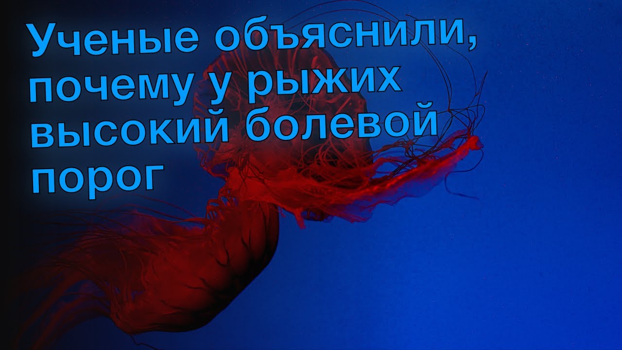 Ученые объяснили, почему у рыжих высокий болевой порог