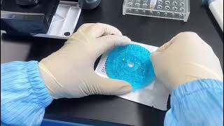 How to operate the BW30 Veterinary Automatic Biochemical Analyzer