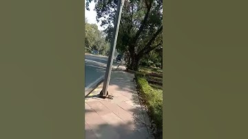 Ignou Solved Assignment MSOE 4 2018-19