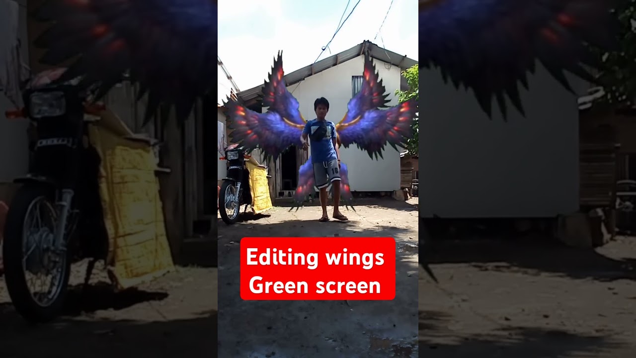 Video editing wings green Screen on Capcut 