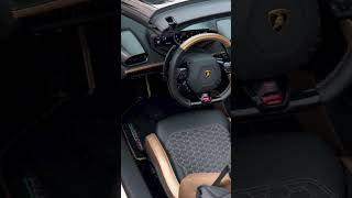 Why This Lamborghini Is One-of-a-Kind! 🚗 #shorts #luxurycars
