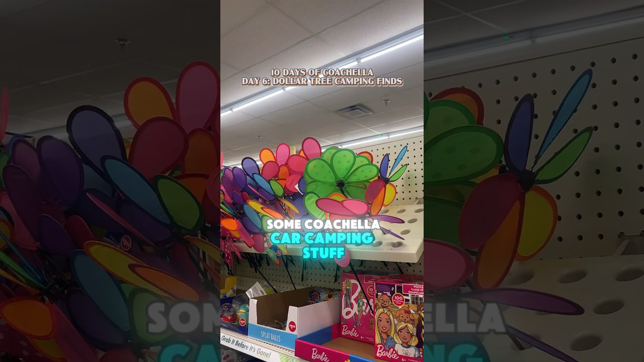 Dollar Tree Coachella Car Camping Essentials ! What is your camping essential? 