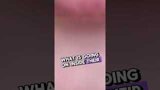 #fypシ゚viral #edit #memes #squidgame2 #kpop