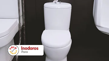 ¿Cuáles son los dos tipos de baño?