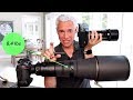 Olympus 300mm f4 Review: Full-frame 600mm f4 results?