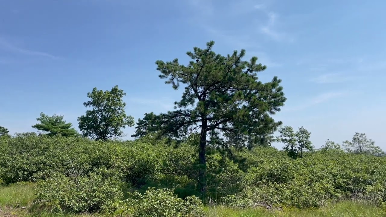 Blue Hills Reservation - Buck Hill   HD 1080p