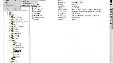 Configure Citrix Data Collector for large zones