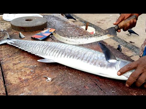 SEER FISH CUTTING | FRESH FISH CUTTING SKILL