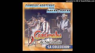 Video thumbnail of "Cardenales de Nuevo Leon-Cumbias mix(DJ Mayo)"