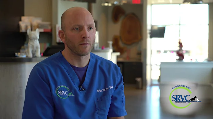 Little Rock Animal Hospital: Dr. Brian Barron, DVM