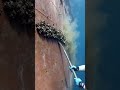 Removing barnacles from ship ⚓