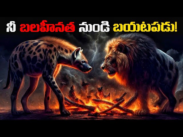 బలహీనతను బలంగా మార్చు! | Overcome your weakness | Voice Of Telugu 