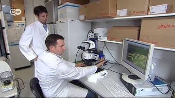 Predictive models for farmers | Tomorrow Today