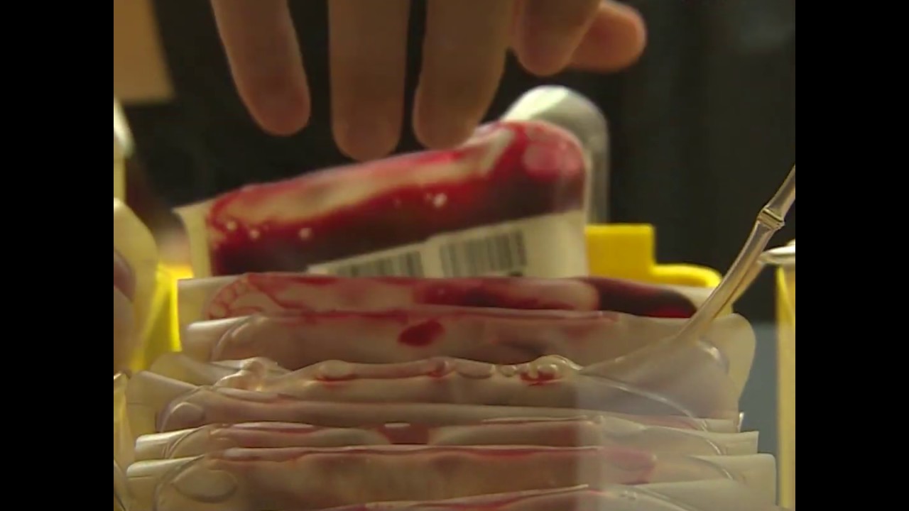 blood connection blood connection