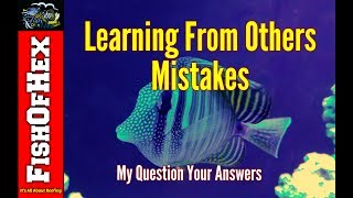 Biggest Mistake You've Ever Made In The Saltwater Hobby? | My Question, Your Answers