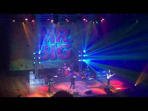 Mr Big 