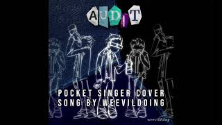 AUDIT - weevildoing ( pocket singer cover )