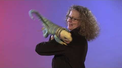 Folkmanis® Collared Lizard Puppet Demo - Retired