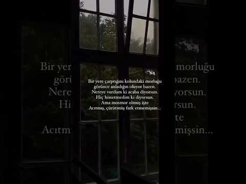 From Morning Till Night Selflove Book Lovequote Literature Byother Love Featured Poet