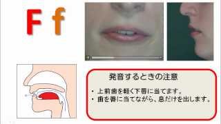 アルファベットの発音から始めて正確な英語の発音を身につける方法 Eigosuki アルファベットの発音から始めて正確な英語の発音を身につける方法 Eigosuki