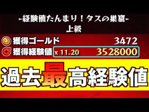 経験 値 たんまり タス の 巣窟 300 万