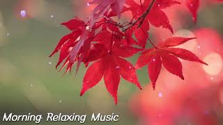 3 Hours of Stress Relieving Music, Easy to Sleep, Relaxing Piano Music, Lullaby, Peaceful Music